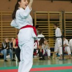 Wiener Karate Landesmeisterschaft 2014