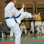 Wiener Karate Landesmeisterschaft 2014