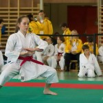 Wiener Karate Landesmeisterschaft 2014