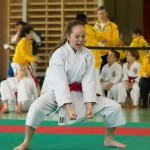 Wiener Karate Landesmeisterschaft 2014