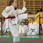 Wiener Karate Landesmeisterschaft 2014