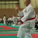 Wiener Karate Landesmeisterschaft 2014