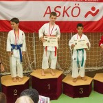 Wiener Karate Landesmeisterschaft 2014