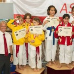 Wiener Karate Landesmeisterschaft 2014