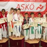 Wiener Karate Landesmeisterschaft 2014