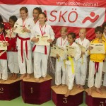 Wiener Karate Landesmeisterschaft 2014