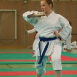 Wiener Karate Landesmeisterschaft 2014