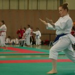 Wiener Karate Landesmeisterschaft 2014