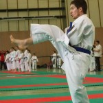 Wiener Karate Landesmeisterschaft 2014