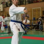 Wiener Karate Landesmeisterschaft 2014