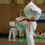 Wiener Karate Landesmeisterschaft 2014