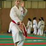 Wiener Karate Landesmeisterschaft 2014