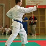 Wiener Karate Landesmeisterschaft 2014