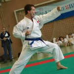 Wiener Karate Landesmeisterschaft 2014