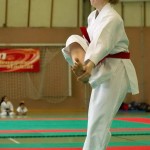 Wiener Karate Landesmeisterschaft 2014