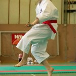 Wiener Karate Landesmeisterschaft 2014