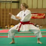 Wiener Karate Landesmeisterschaft 2014