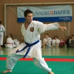 Wiener Karate Landesmeisterschaft 2014