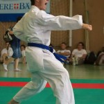 Wiener Karate Landesmeisterschaft 2014