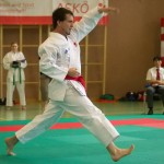 Wiener Karate Landesmeisterschaft 2014