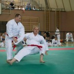 Wiener Karate Landesmeisterschaft 2014