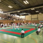 Wiener Karate Landesmeisterschaft 2014