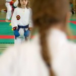 Wiener Karate Landesmeisterschaft 2014