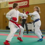 Wiener Karate Landesmeisterschaft 2014