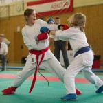 Wiener Karate Landesmeisterschaft 2014