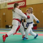 Wiener Karate Landesmeisterschaft 2014