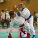 Wiener Karate Landesmeisterschaft 2014