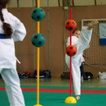 Wiener Karate Landesmeisterschaft 2014