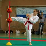 Wiener Karate Landesmeisterschaft 2014