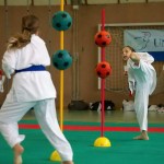 Wiener Karate Landesmeisterschaft 2014