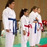 Wiener Karate Landesmeisterschaft 2014