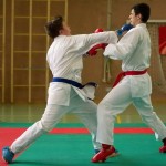 Wiener Karate Landesmeisterschaft 2014