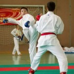 Wiener Karate Landesmeisterschaft 2014