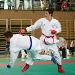 Wiener Karate Landesmeisterschaft 2014