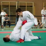 Wiener Karate Landesmeisterschaft 2014