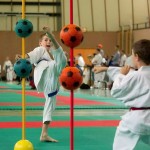 Wiener Karate Landesmeisterschaft 2014