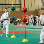 Wiener Karate Landesmeisterschaft 2014