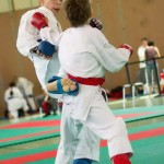 Wiener Karate Landesmeisterschaft 2014