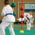 Wiener Karate Landesmeisterschaft 2014