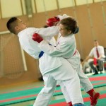 Wiener Karate Landesmeisterschaft 2014