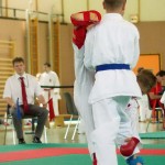 Wiener Karate Landesmeisterschaft 2014