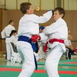 Wiener Karate Landesmeisterschaft 2014