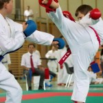 Wiener Karate Landesmeisterschaft 2014