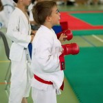 Wiener Karate Landesmeisterschaft 2014