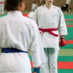 Wiener Karate Landesmeisterschaft 2014