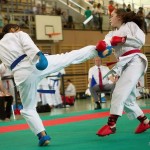 Wiener Karate Landesmeisterschaft 2014